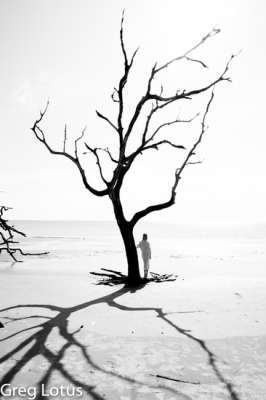 all Alone 1