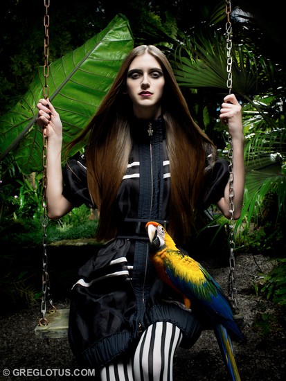 Animals 2
