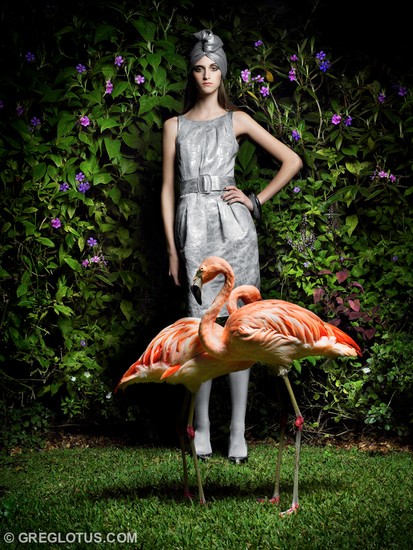 Animals 5