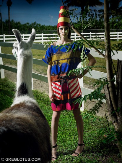 Animals 9