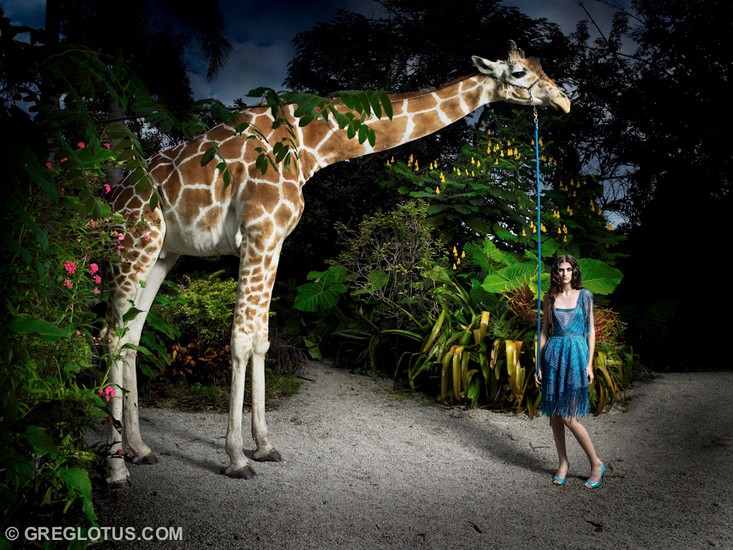 Animals 10