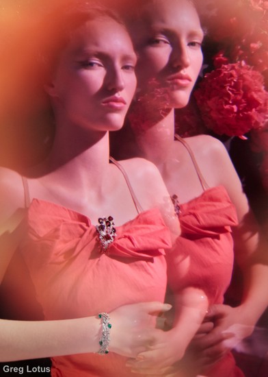 beauty Exposure 3