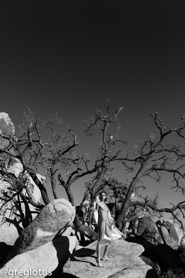 desert 10