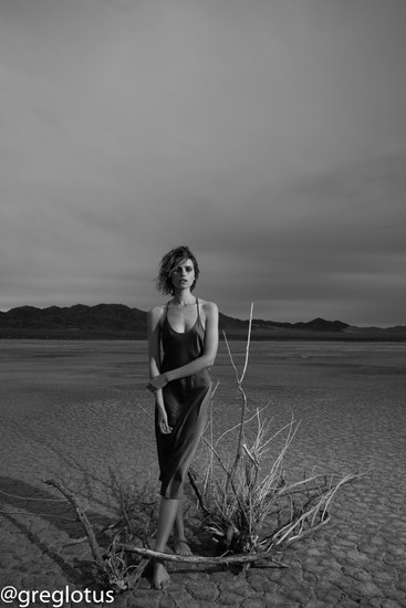 desert 9