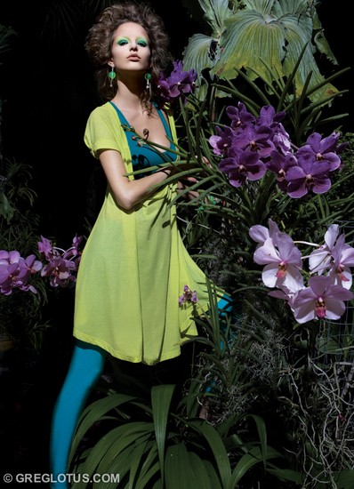 Orchid Story 1