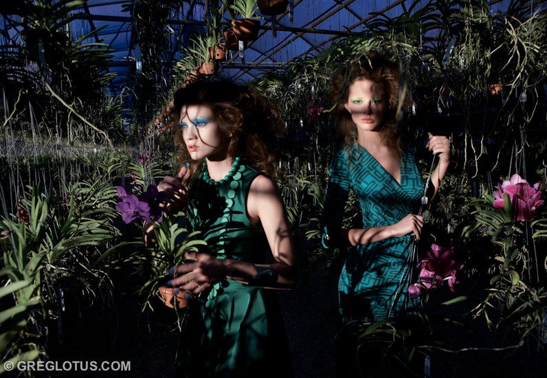 Orchid Story 4