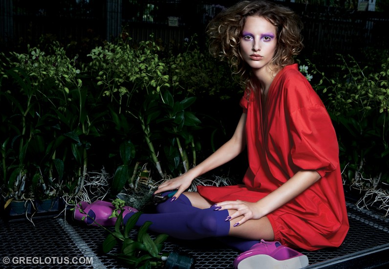 Orchid Story 7