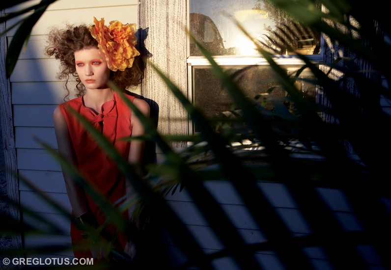 Orchid Story 10