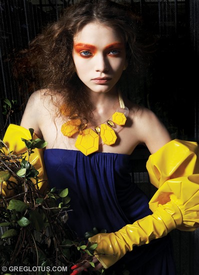 Orchid Story 16