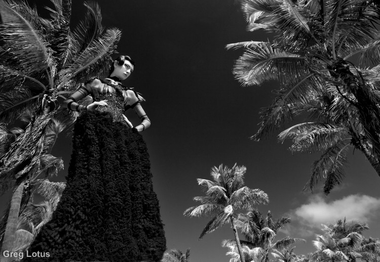 tree 2