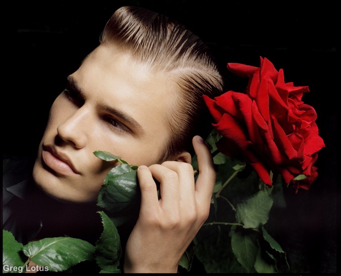 RED ROSE 7