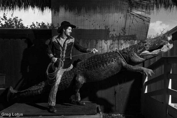 ALLIGATOR 9