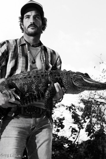 ALLIGATOR 11