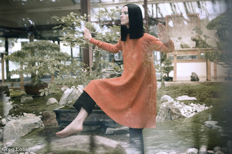 Tai Chi 3