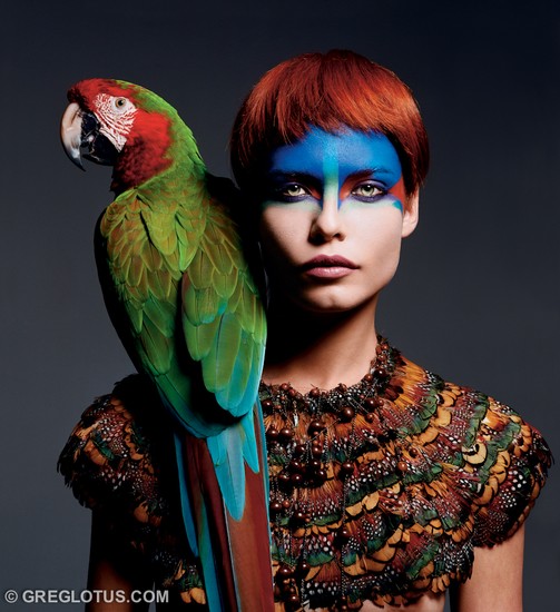 Tropical Birds 4