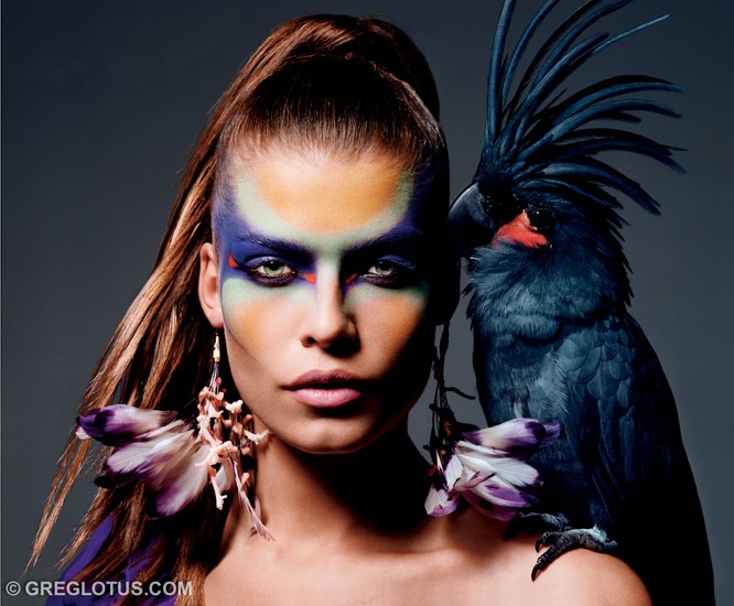 Tropical Birds 8