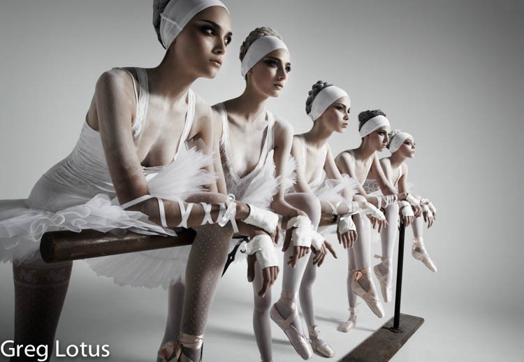 white Swans I 1