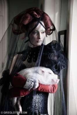 Pet