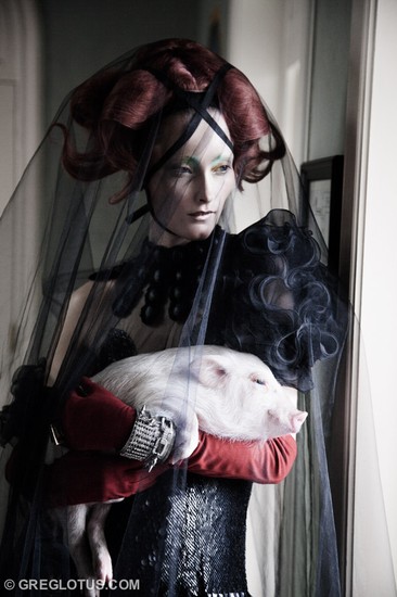 Pet Pig 7