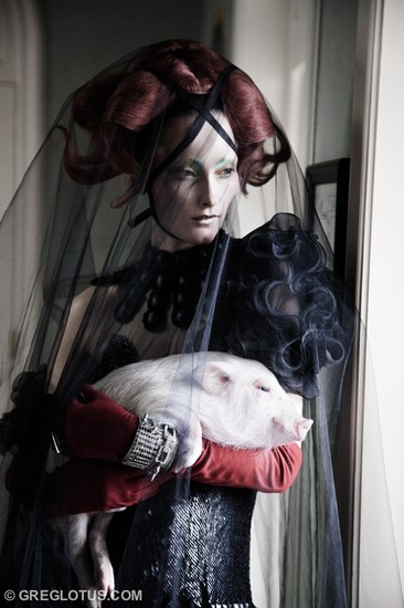 Pet