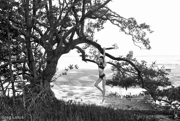 hanging tree 1